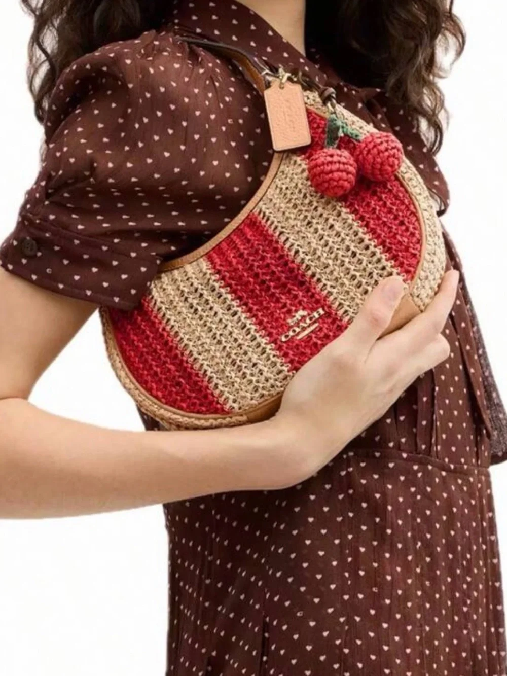 NWT Coach Emily Shoulder Bag in Woven Straw Striped Gold/Red/Tan